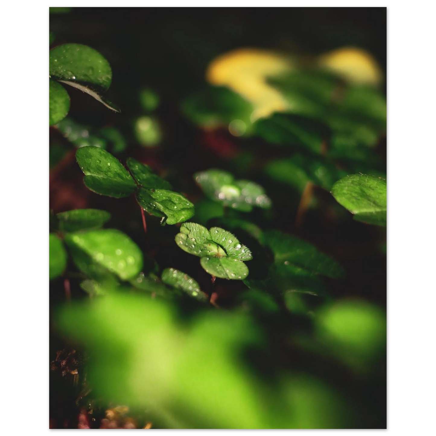 e5d52d10-0def-4584-b0aa-bd6c37468533