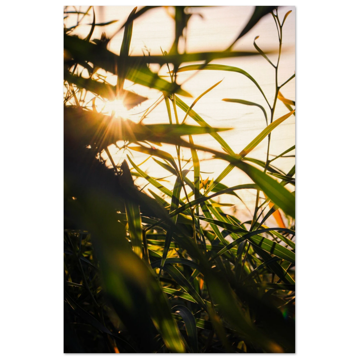 f40d22a7-c31d-4306-9350-75cb02bbf8f1